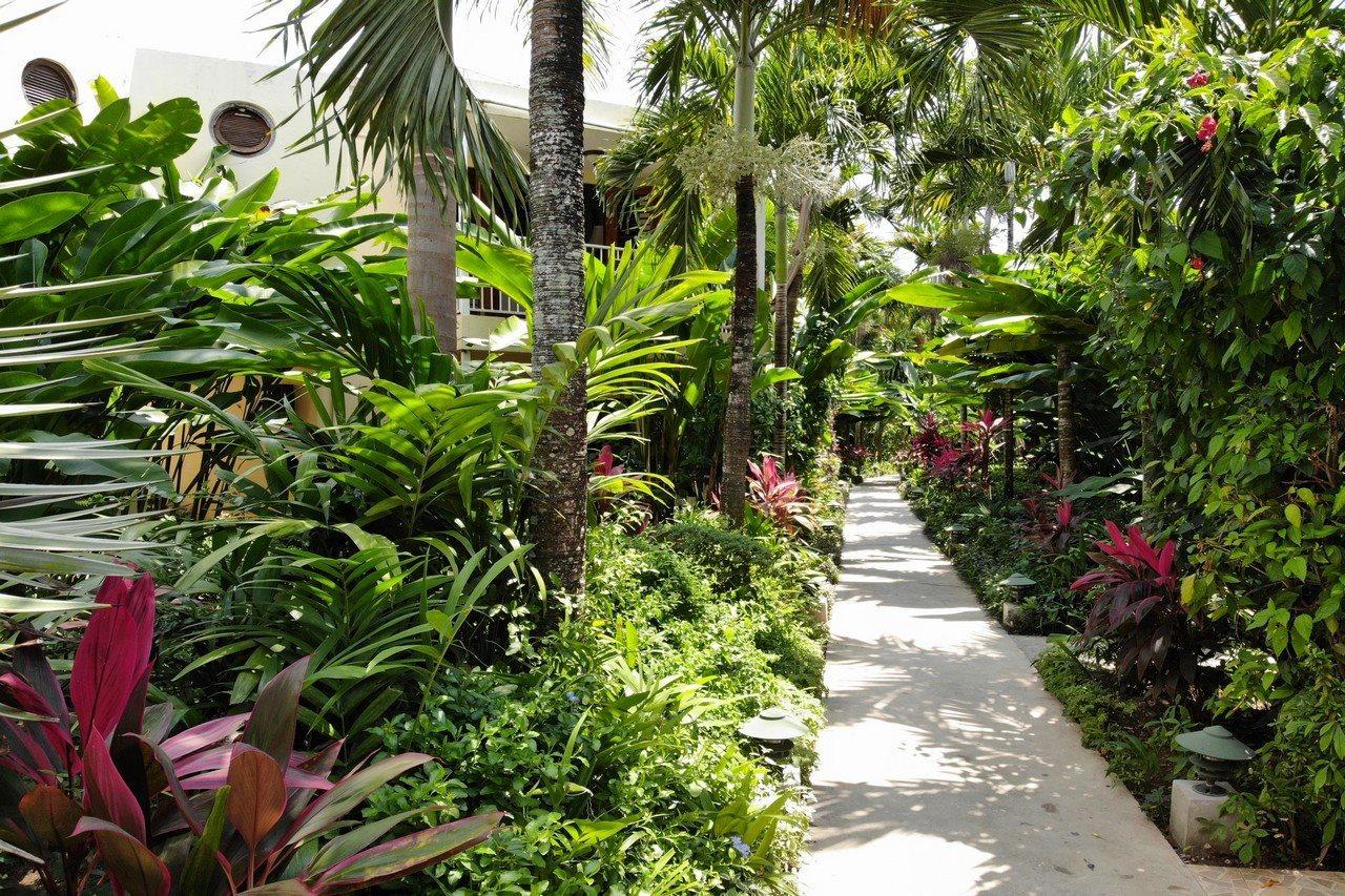 Negril Palms Hotel ภายนอก รูปภาพ