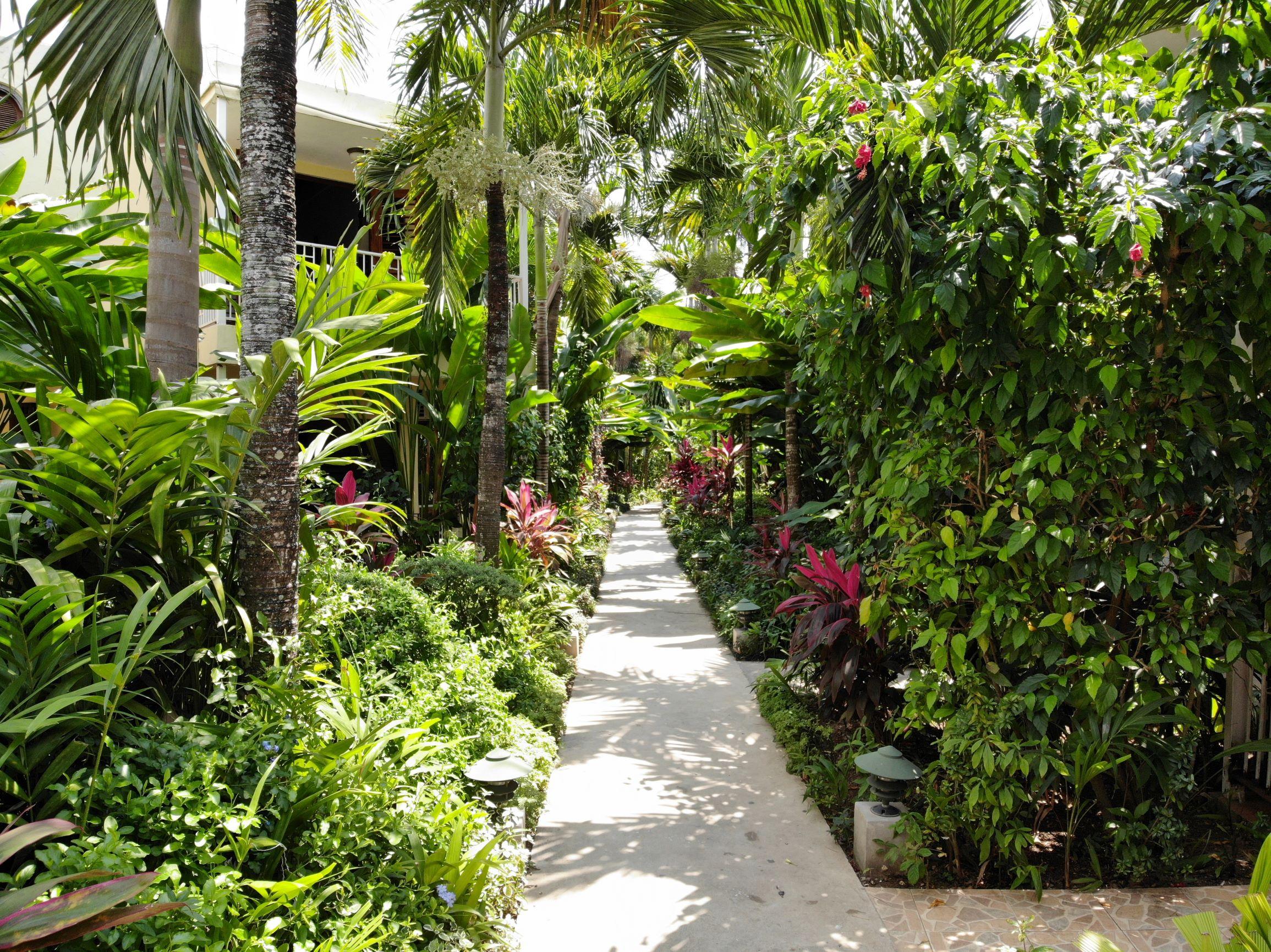 Negril Palms Hotel ภายนอก รูปภาพ